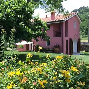 Terrarossa , Pistoia Italia